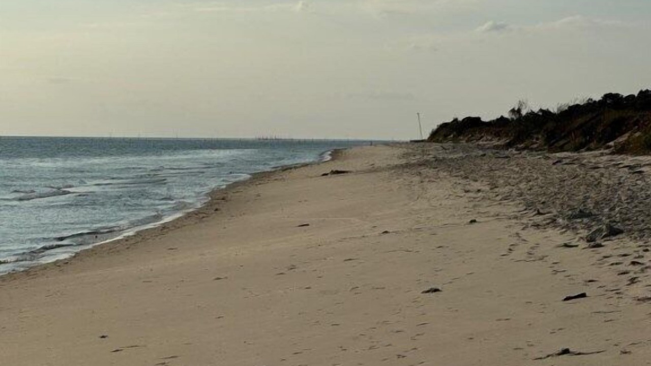 Photo of Others in Cape Charles