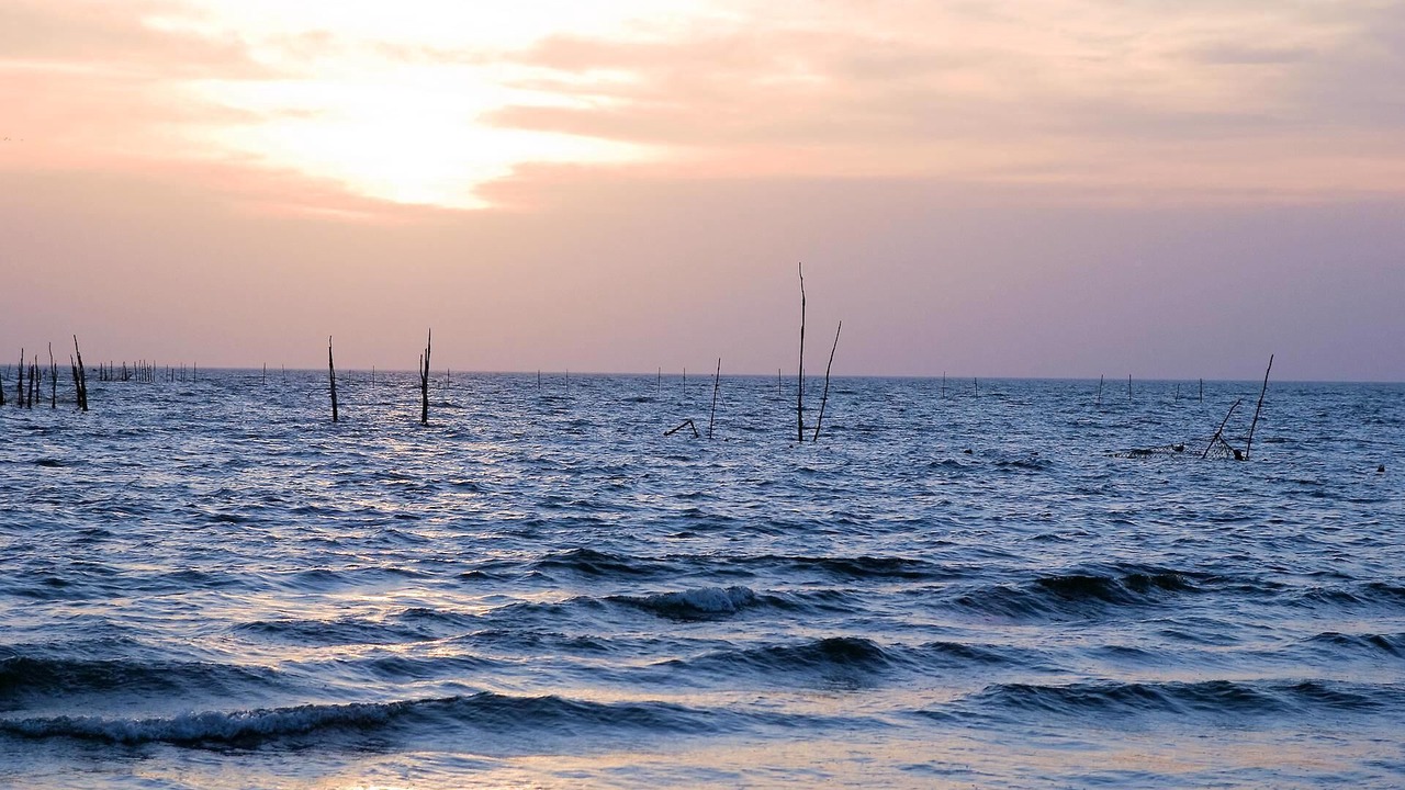 Photo of Others in Cape Charles