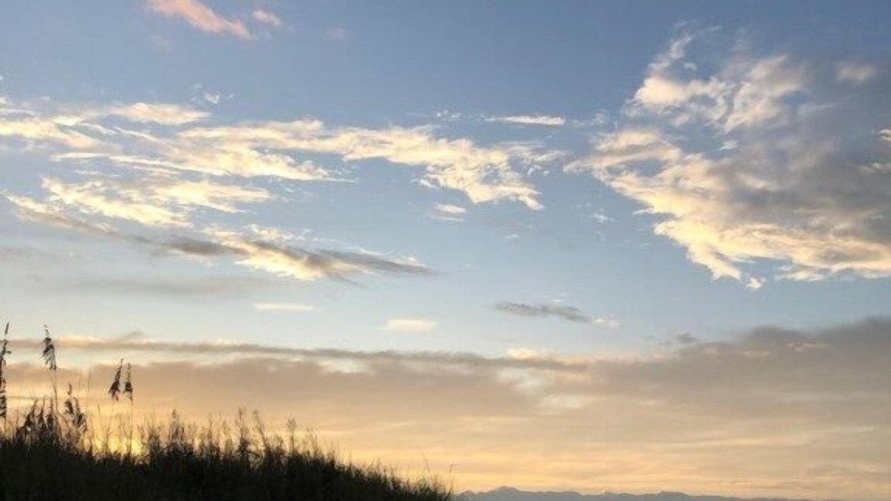 Photo of Others in Cape Charles