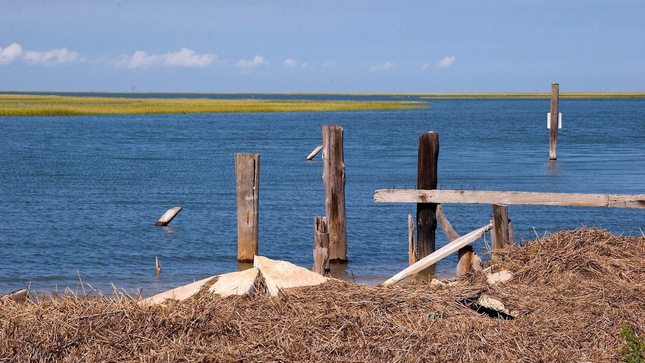 Photo of Others in Cape Charles