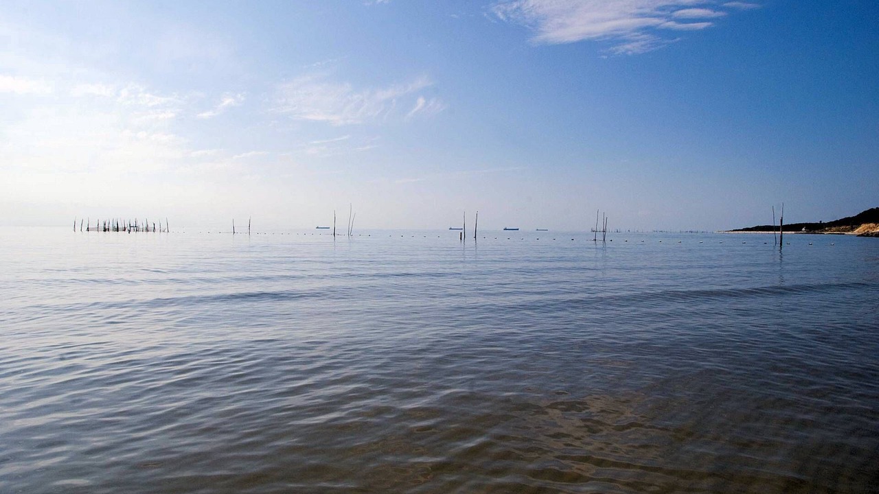 Photo of Others in Cape Charles