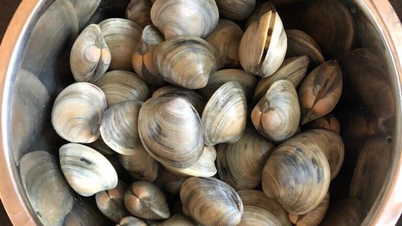 Photo of Others in Cape Charles