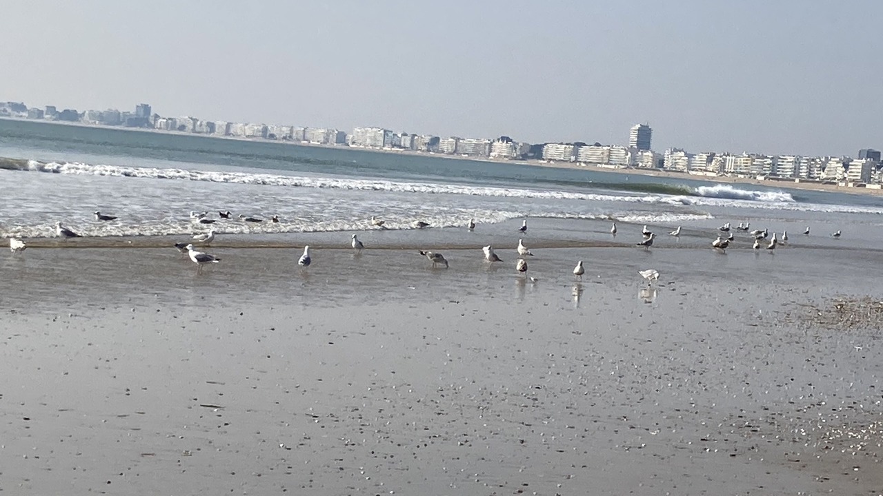Photo of Others in La Baule-Escoublac