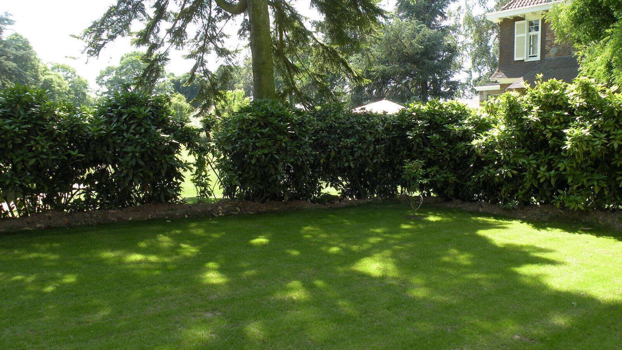 Photo of Outdoor in Sainghin-en-Melantois