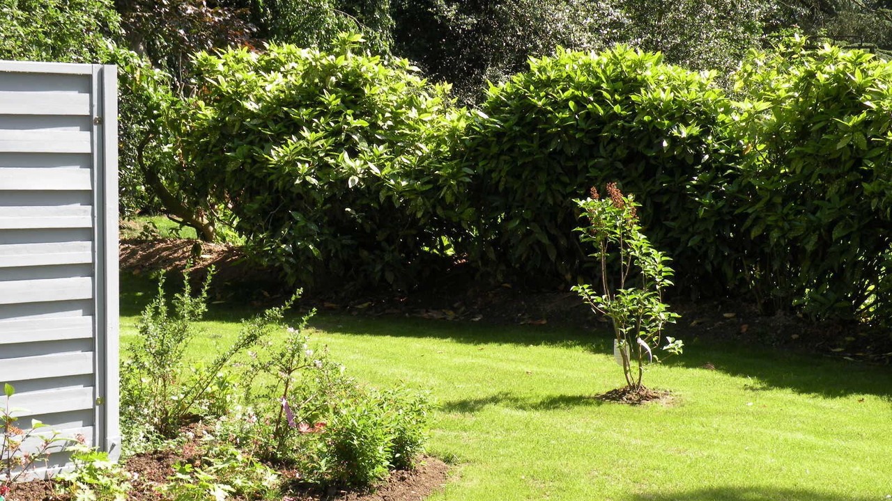Photo of Outdoor in Sainghin-en-Melantois