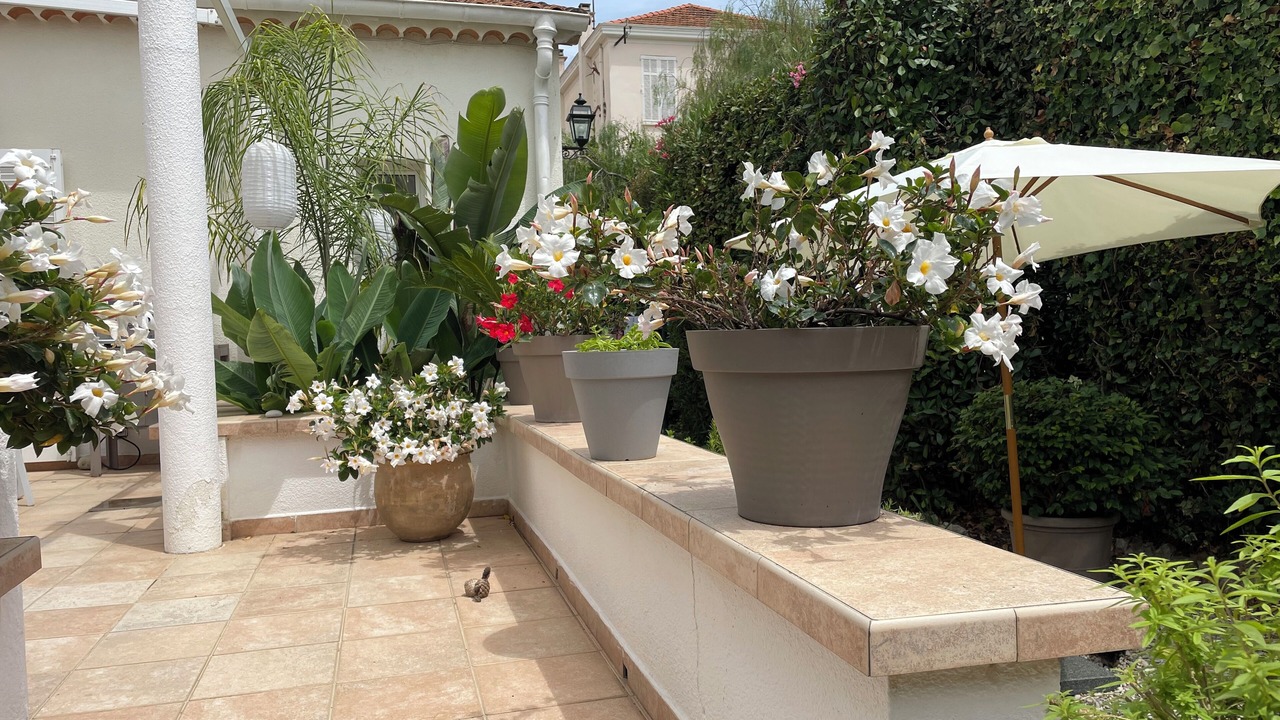 Photo of Outdoor in Cap-d'Antibes