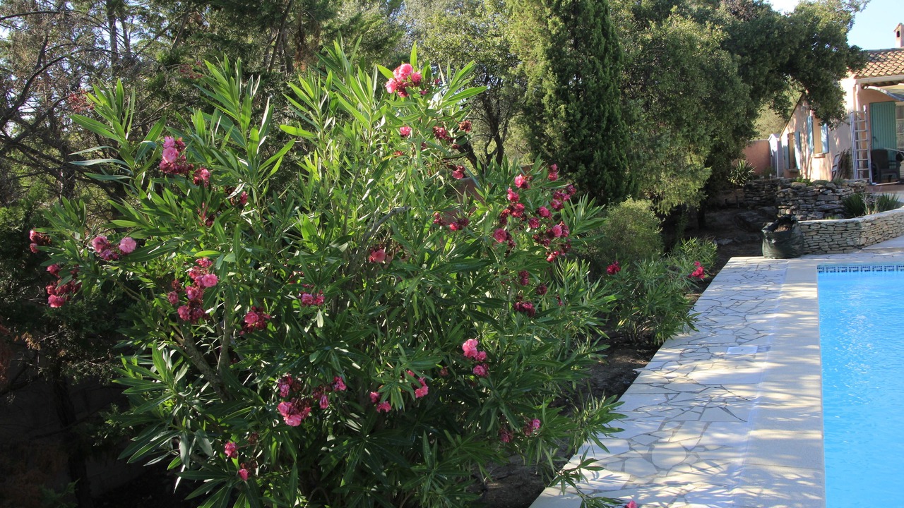 Photo of Outdoor in Montaren-et-Saint-Mediers