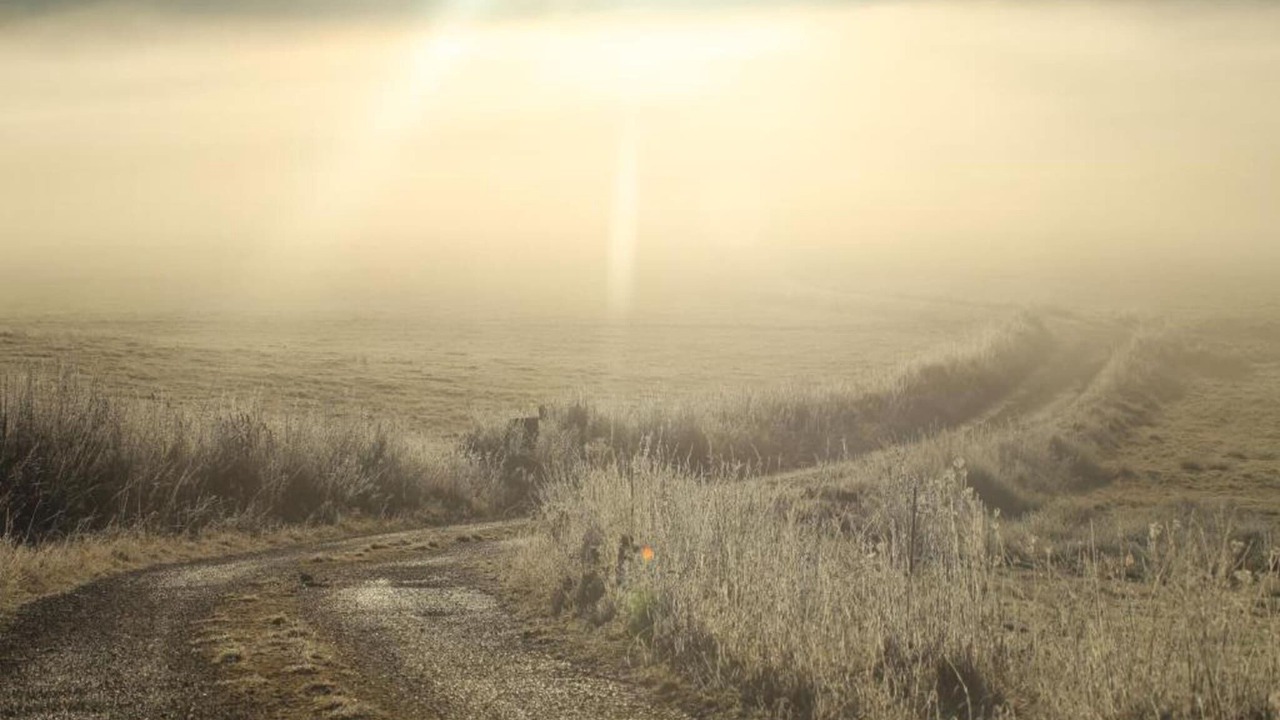 Photo of Others in Saint-Laurent-en-Grandvaux