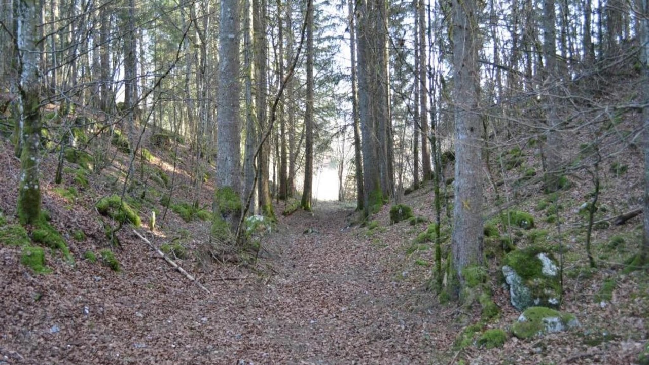 Photo of Others in Saint-Laurent-en-Grandvaux