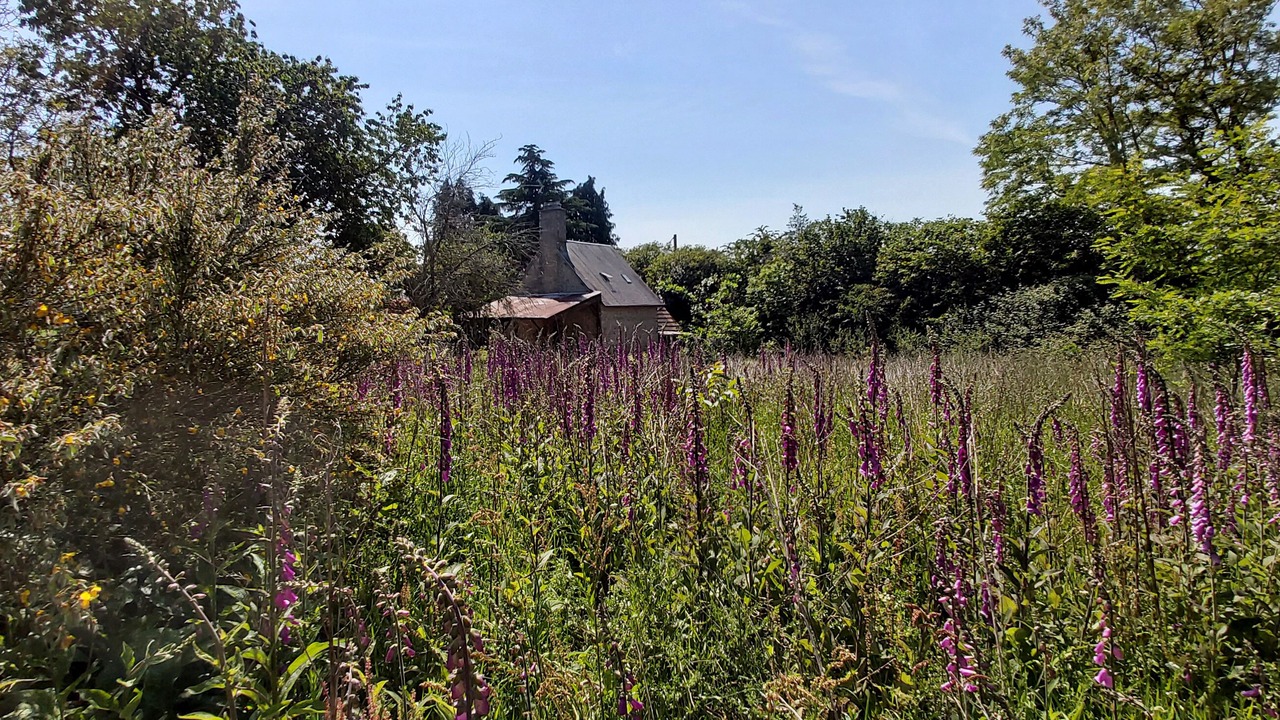 Photo of Outdoor in Le Mesnil-Gilbert