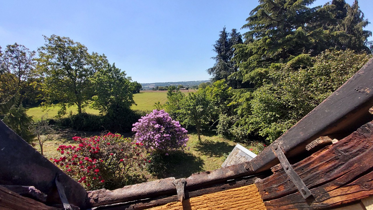 Photo of Outdoor in Le Mesnil-Gilbert