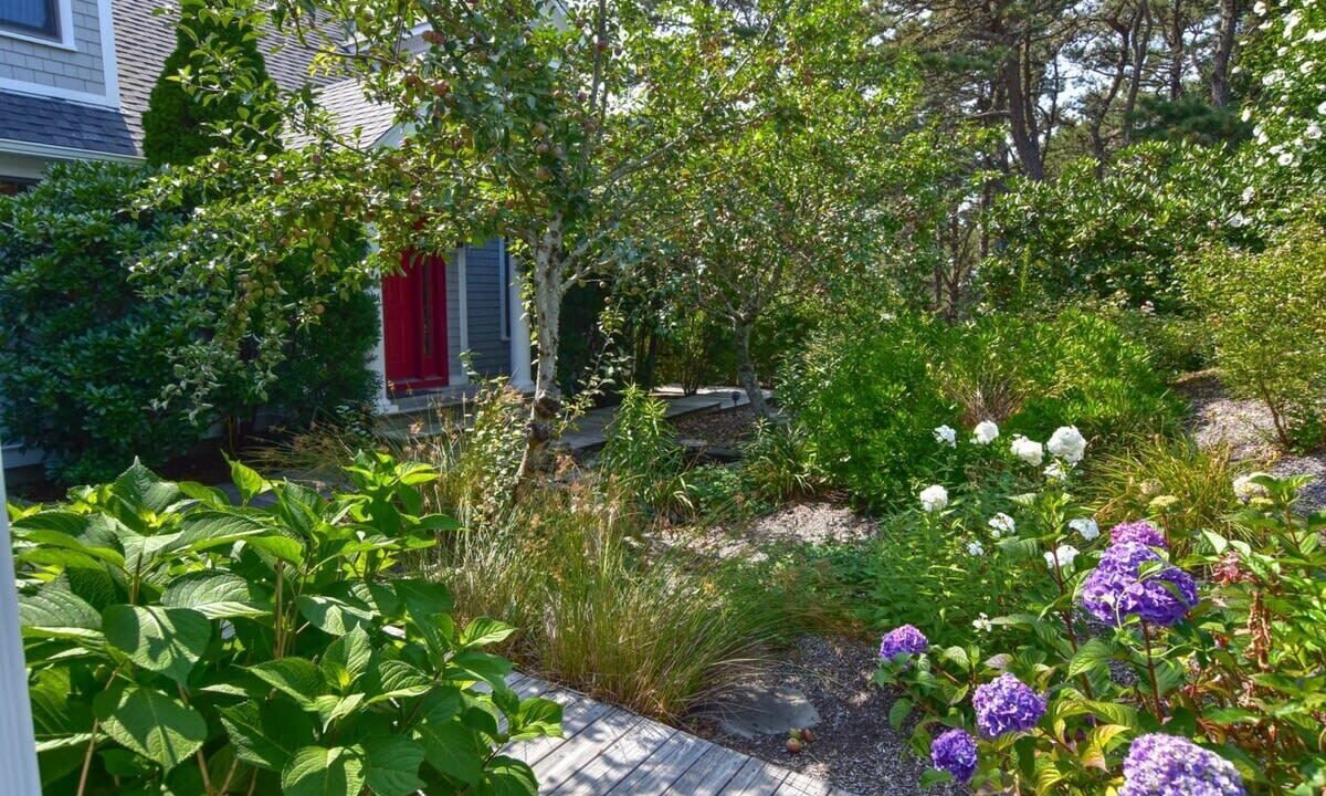 Photo of Outdoor in Wellfleet