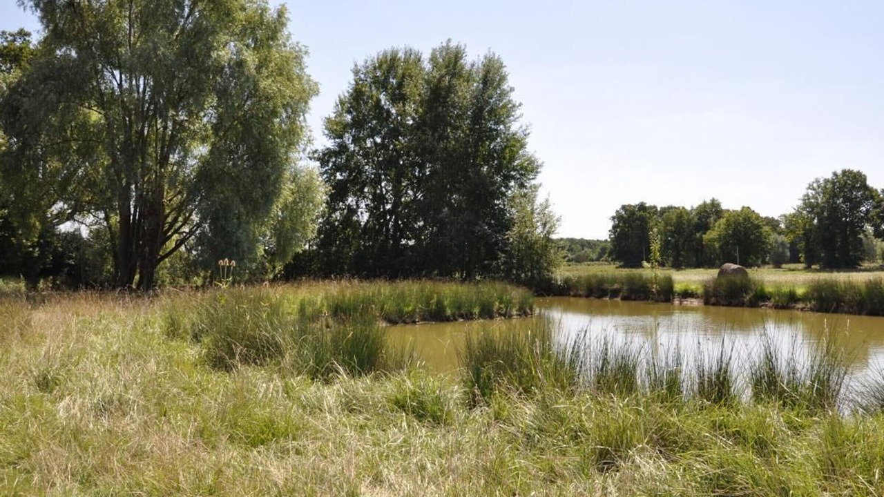 Photo of Outdoor in Chailly-en-Gatinais