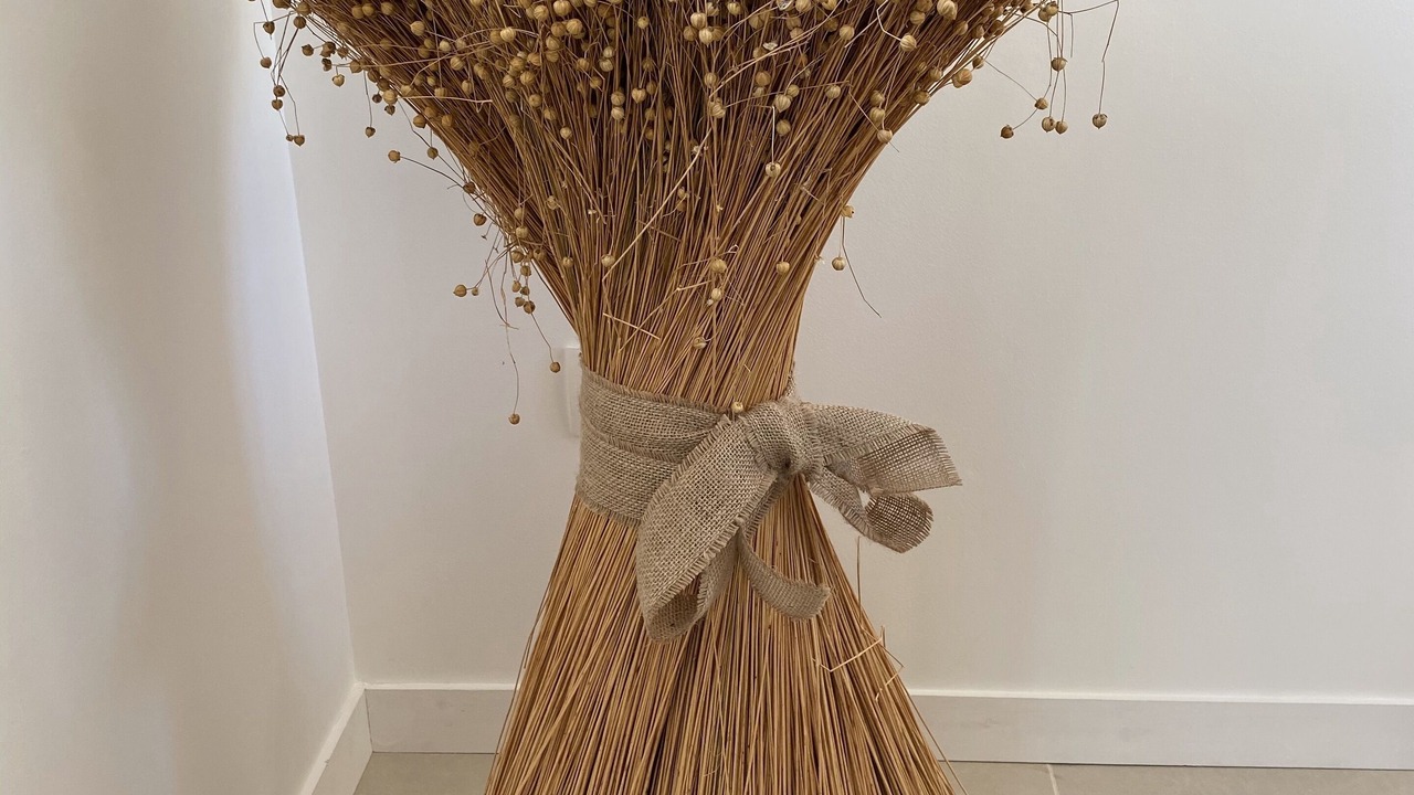 Photo of Others in Belle Vie en Auge