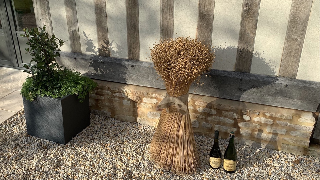 Photo of Outdoor in Belle Vie en Auge