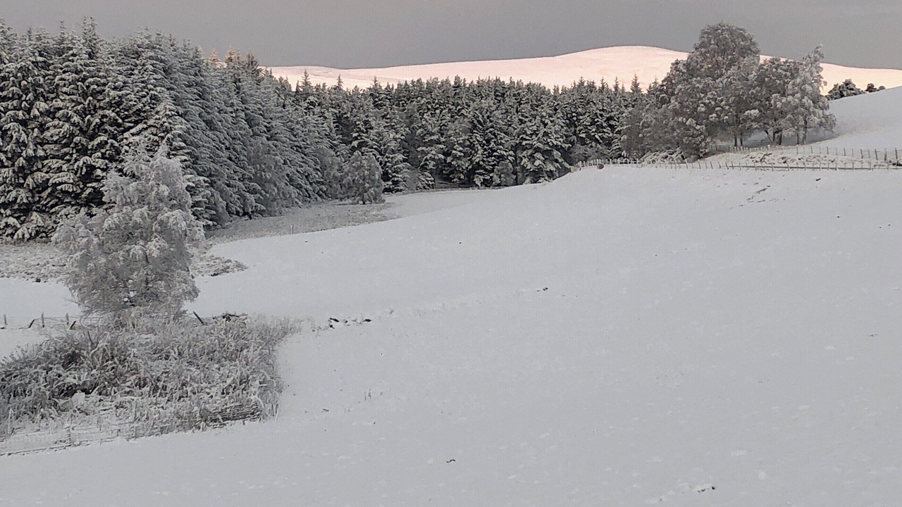 Photo of Others in Tomatin