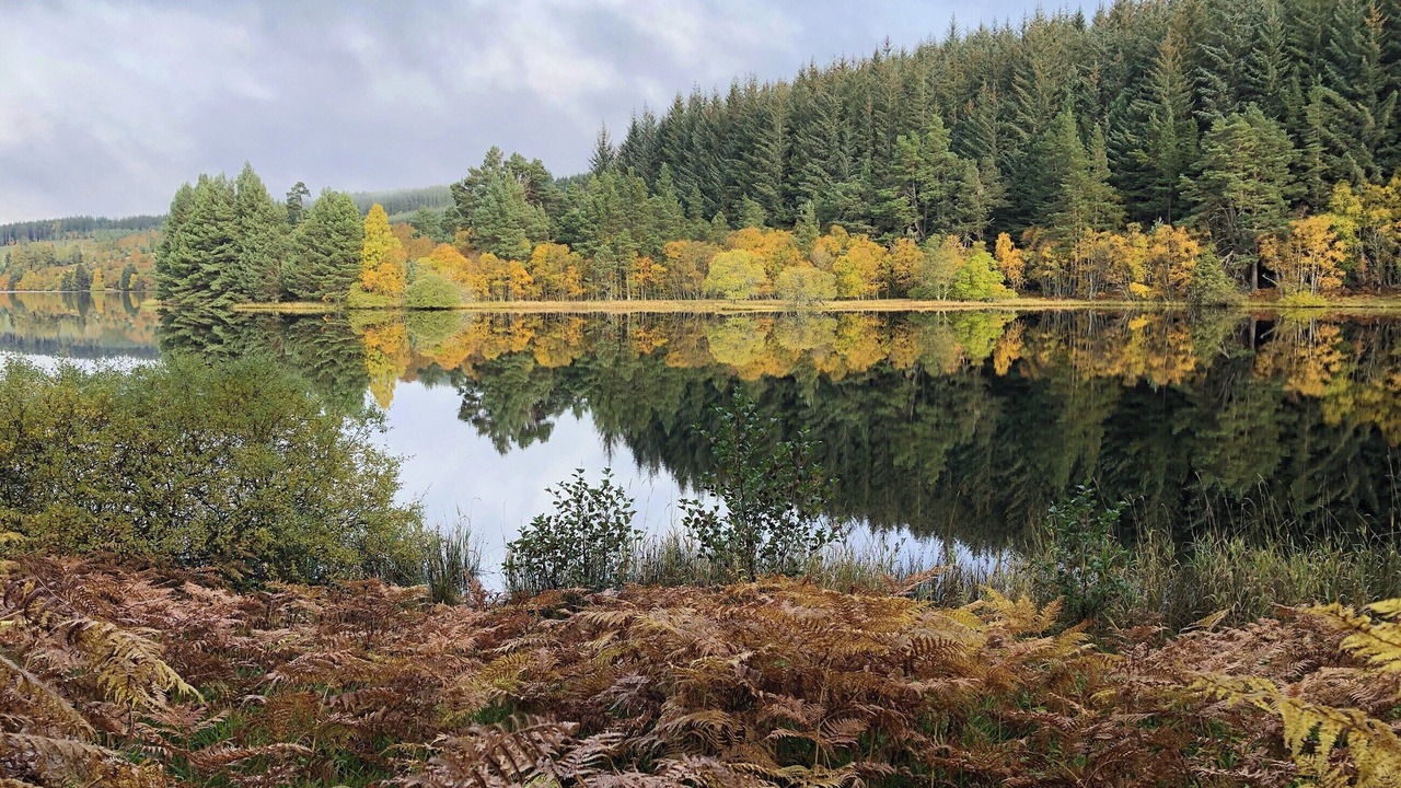 Photo of Others in Tomatin