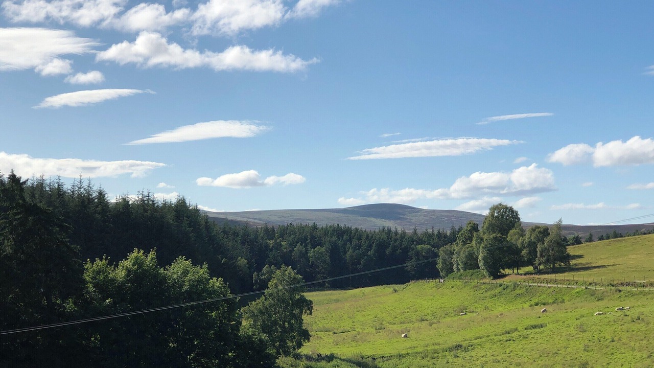 Photo of Others in Tomatin