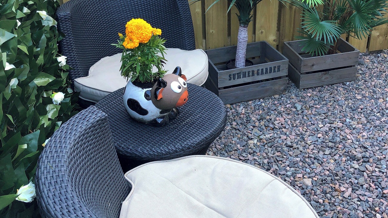 Photo of Others in Tomatin