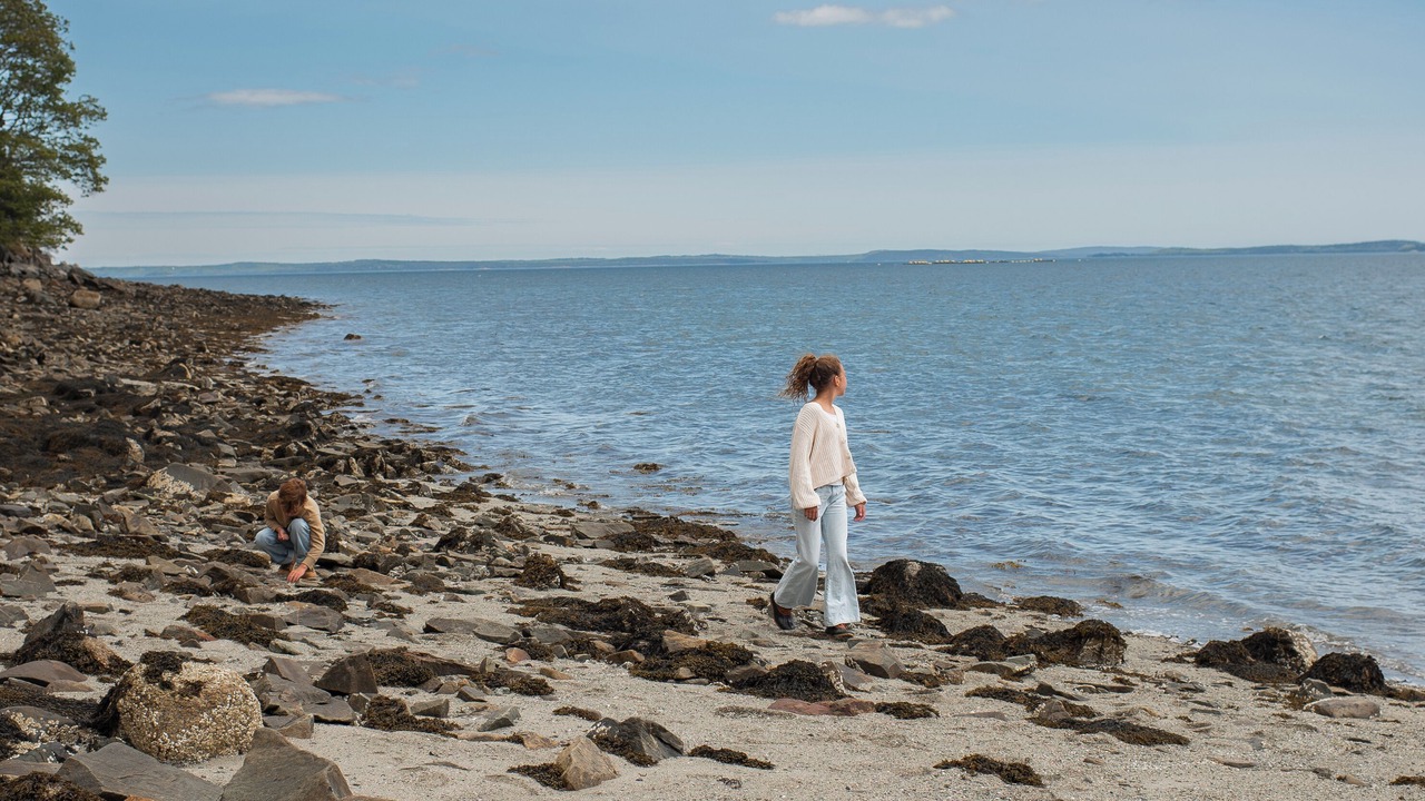 Photo of Others in Lamoine Beach