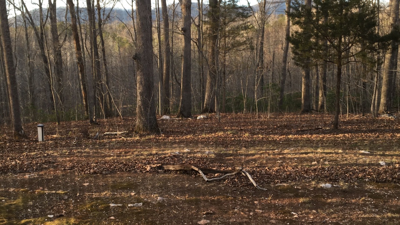 Photo of Outdoor in Schuyler