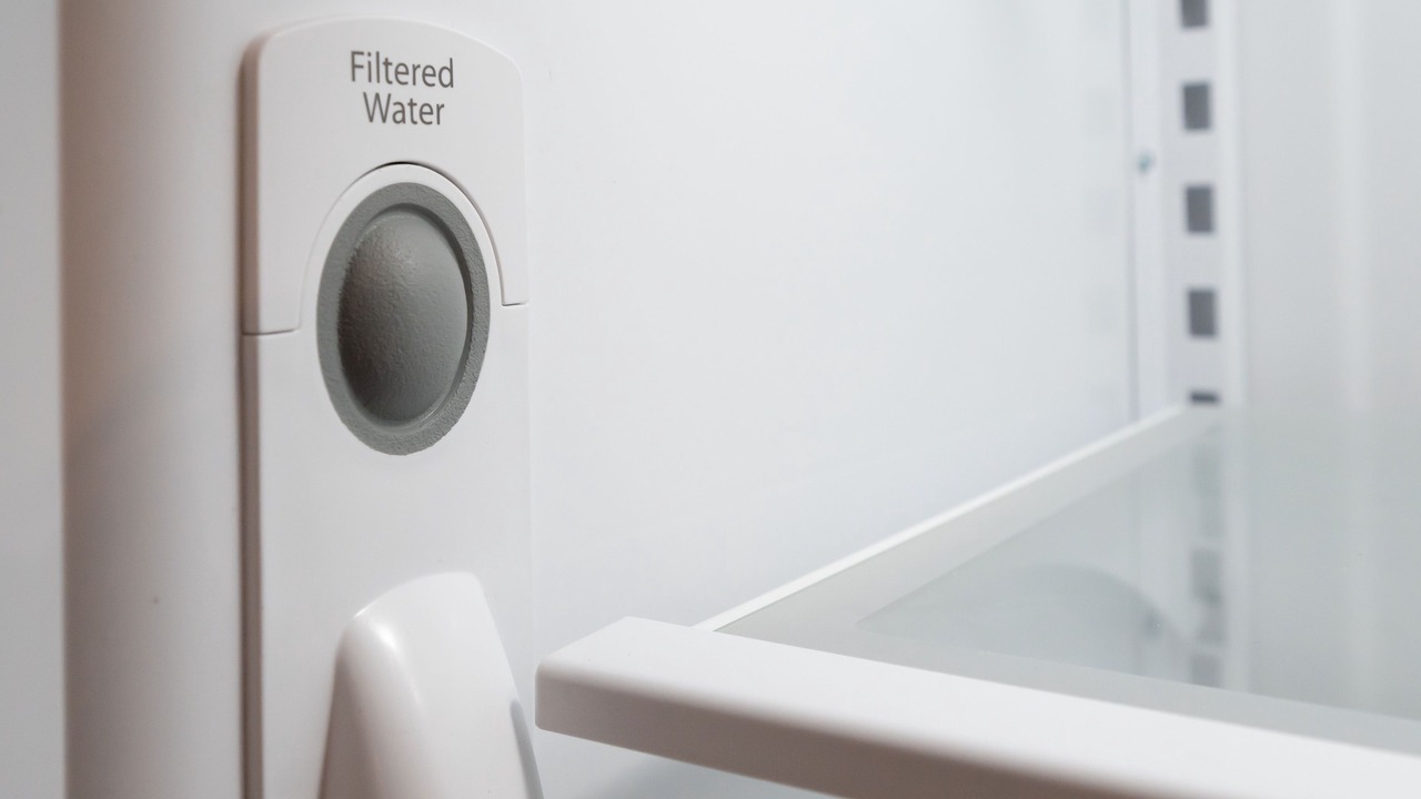 Photo of Others in Walnut Creek