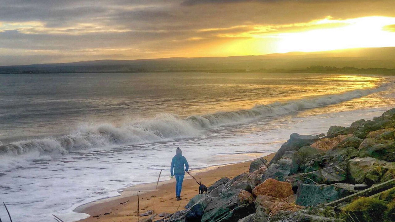 Photo of Others in Fortrose