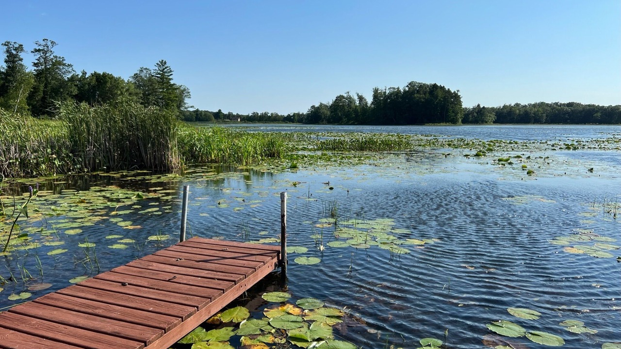 Photo of Outdoor in Webster