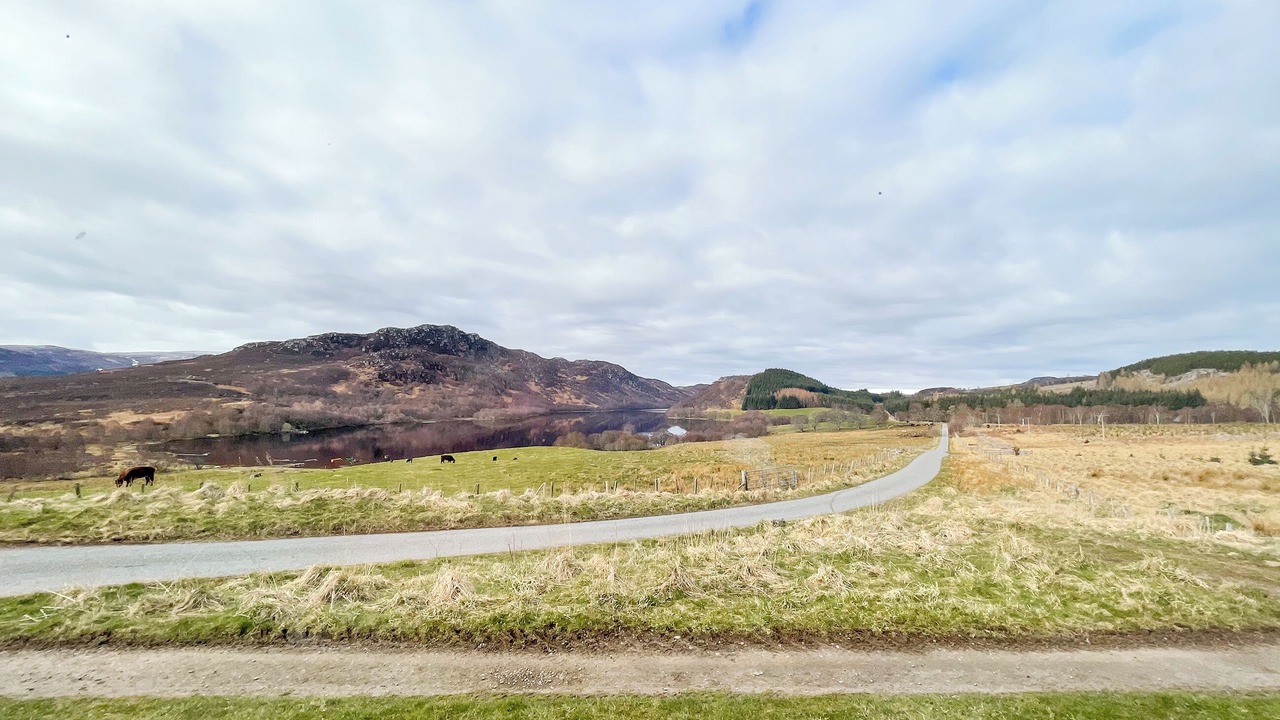 Photo of Others in Scaniport