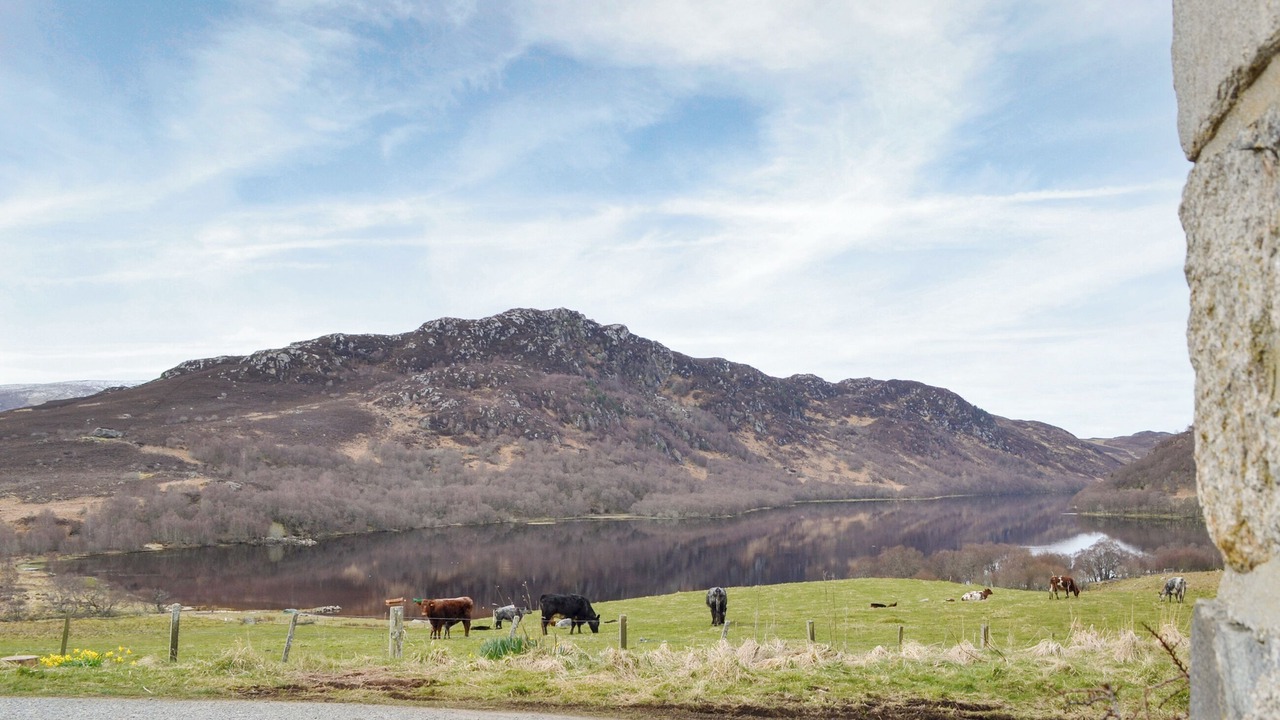 Photo of Others in Scaniport