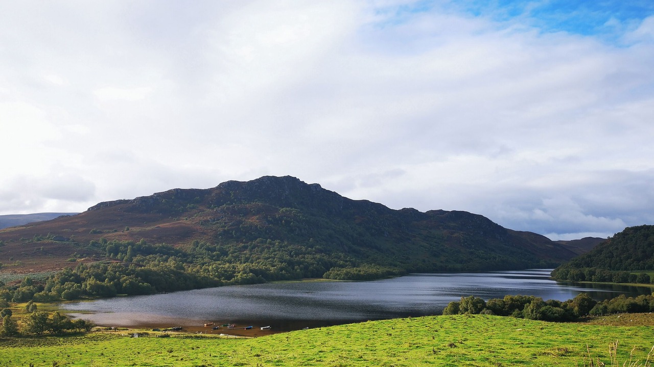 Photo of Others in Scaniport