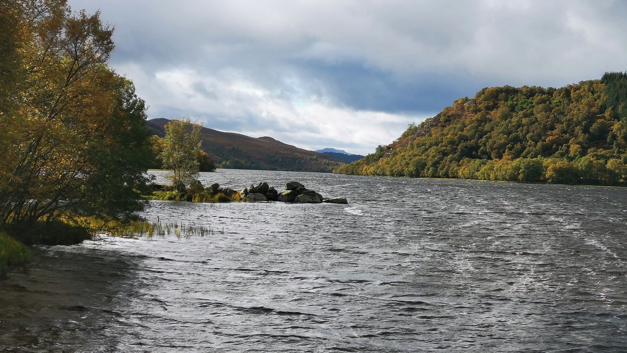 Photo of Others in Scaniport