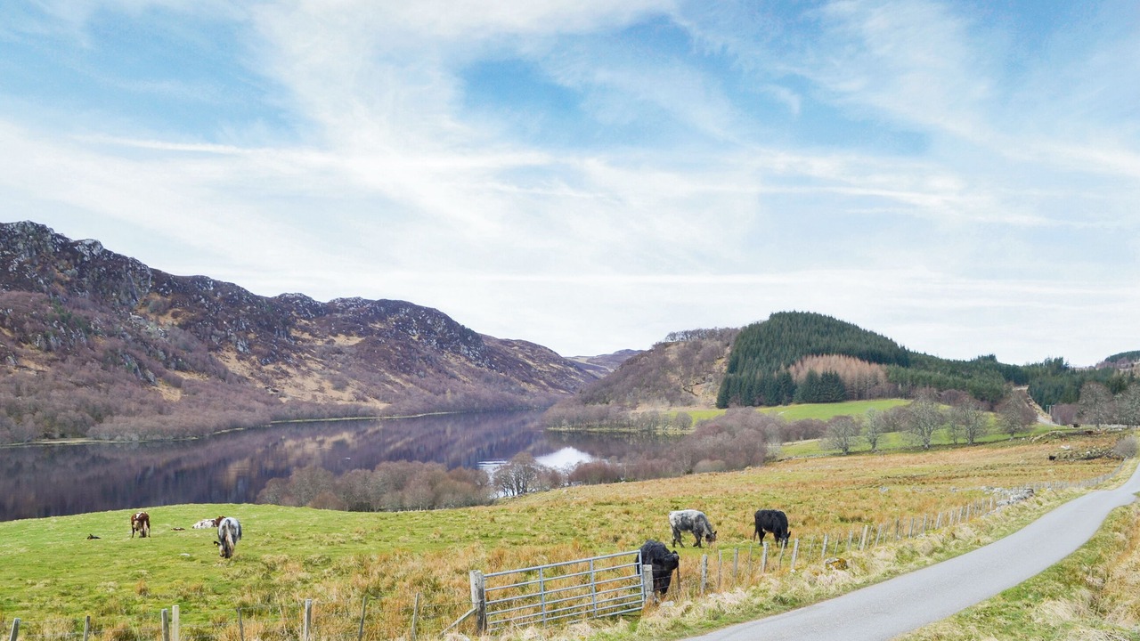 Photo of Others in Scaniport