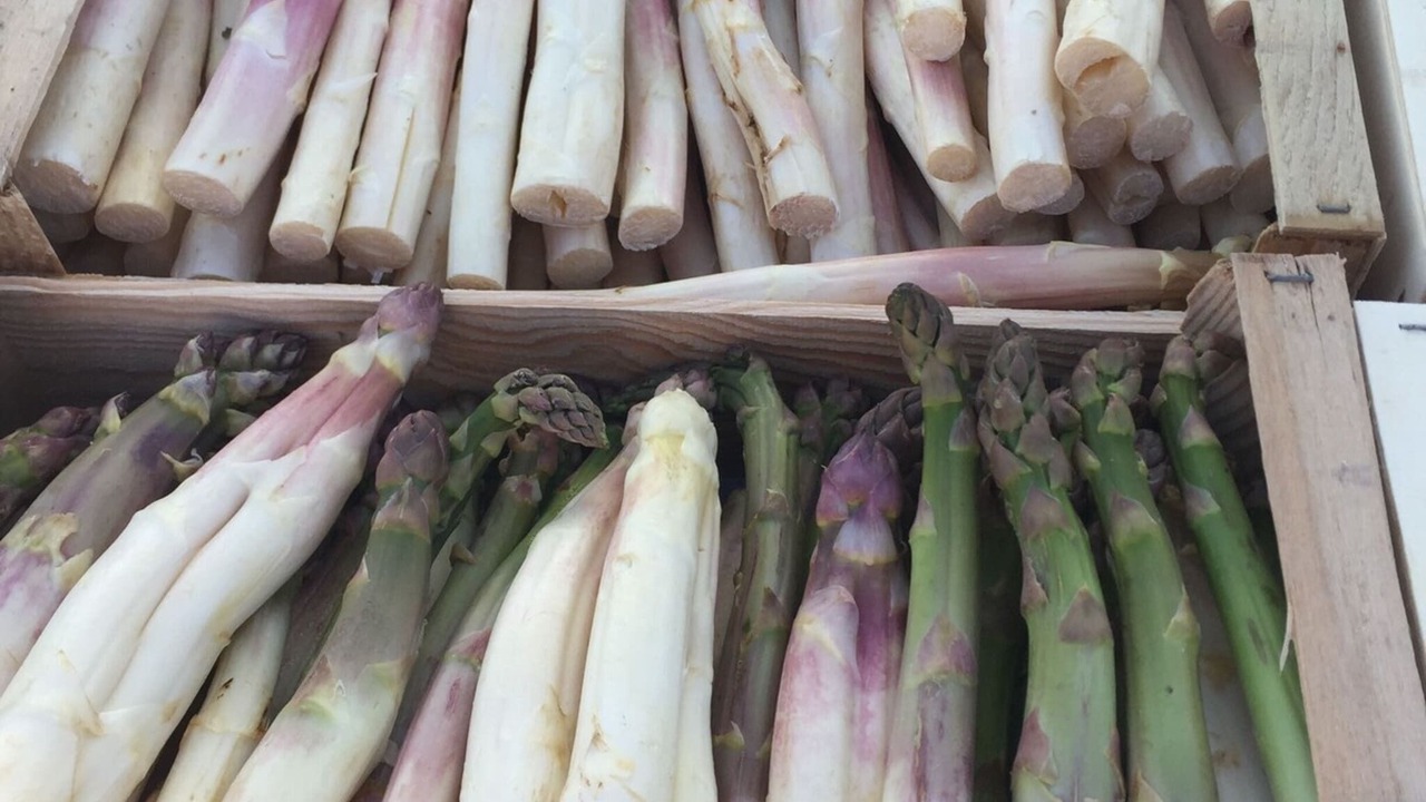 Photo of Others in Robion