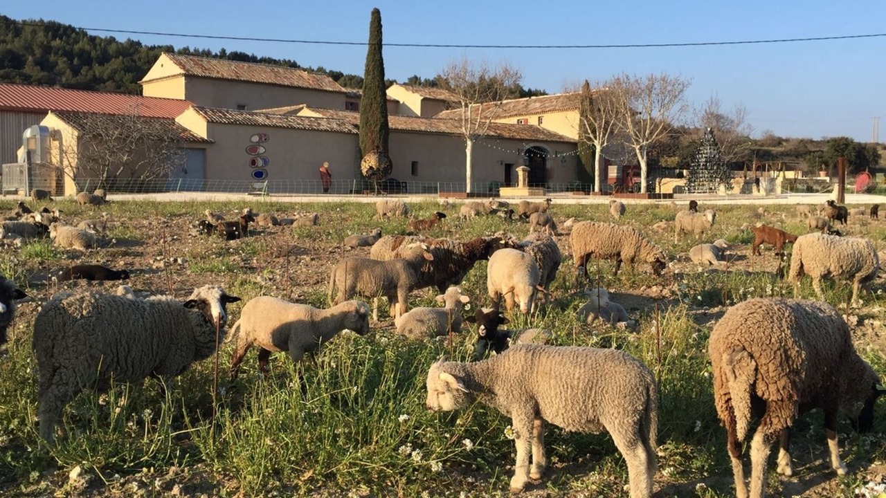 Photo of Others in Robion