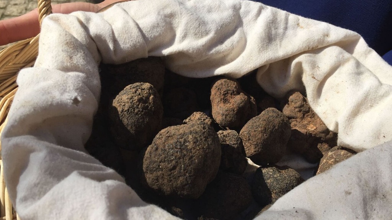 Photo of Others in Robion