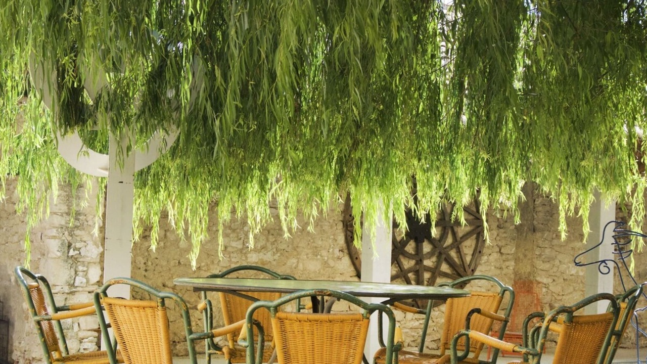 Photo of Outdoor in Robion