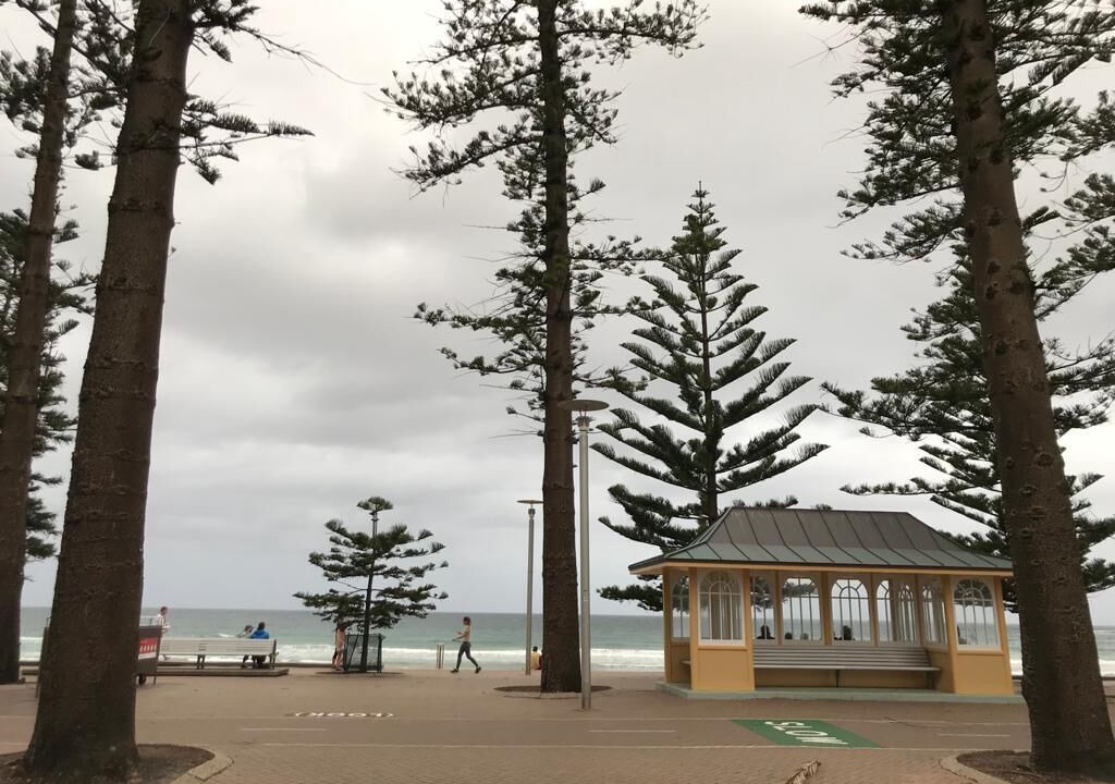 Photo of Others in Manly