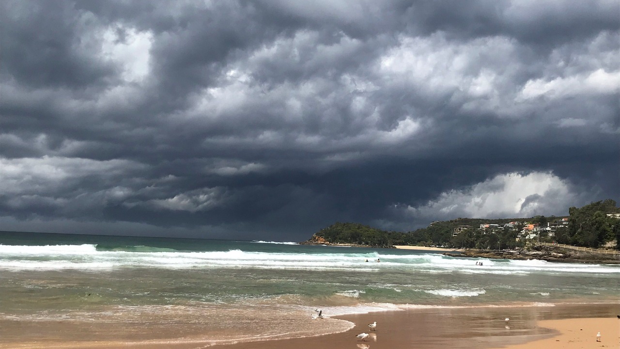 Photo of Others in Manly