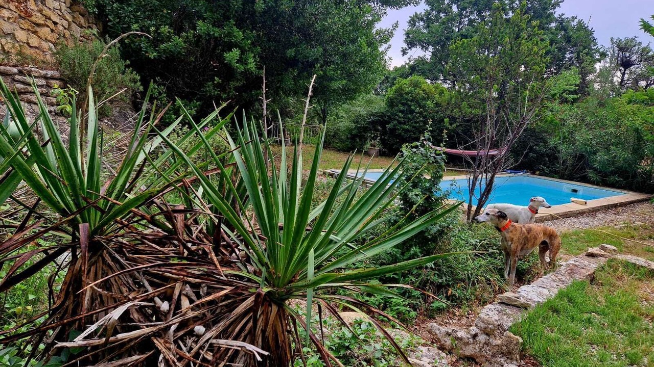 Photo of Outdoor in Puget