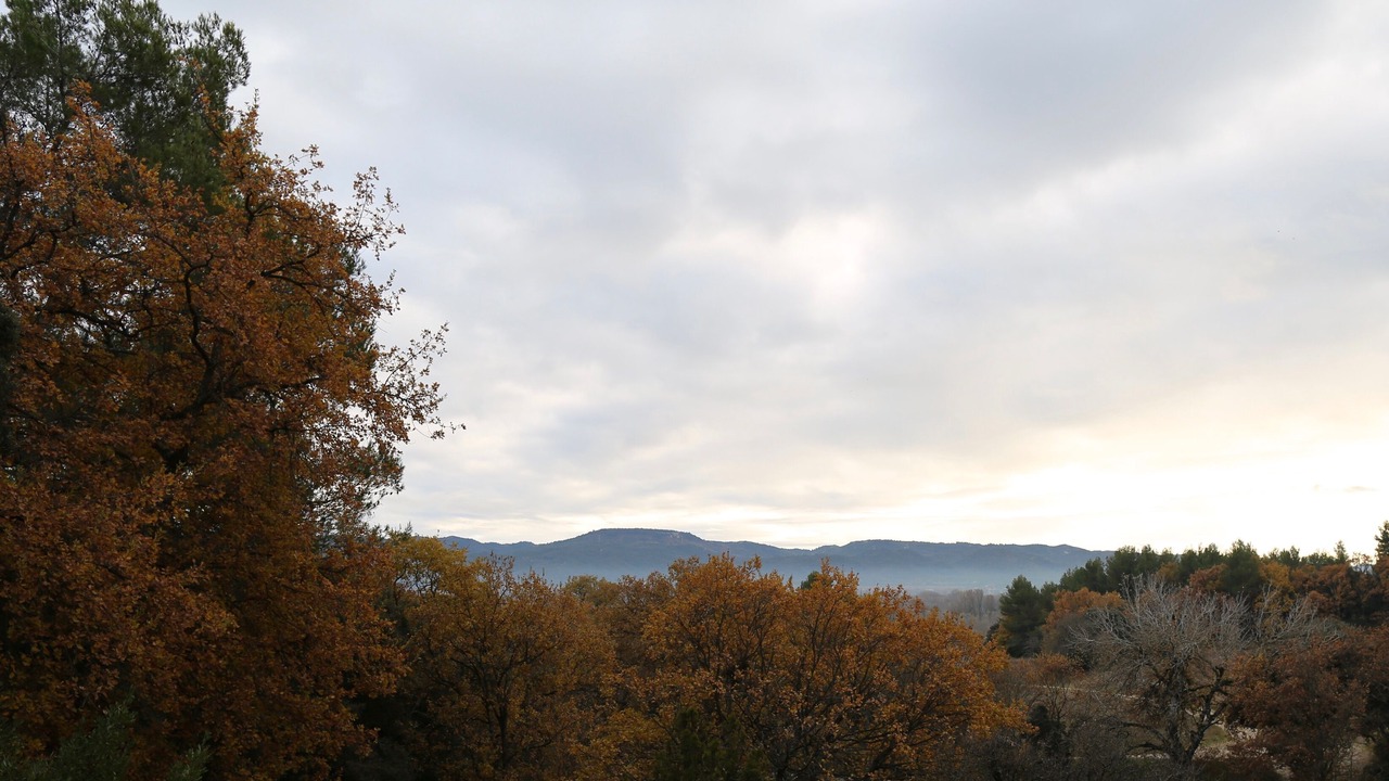 Photo of Others in Puget