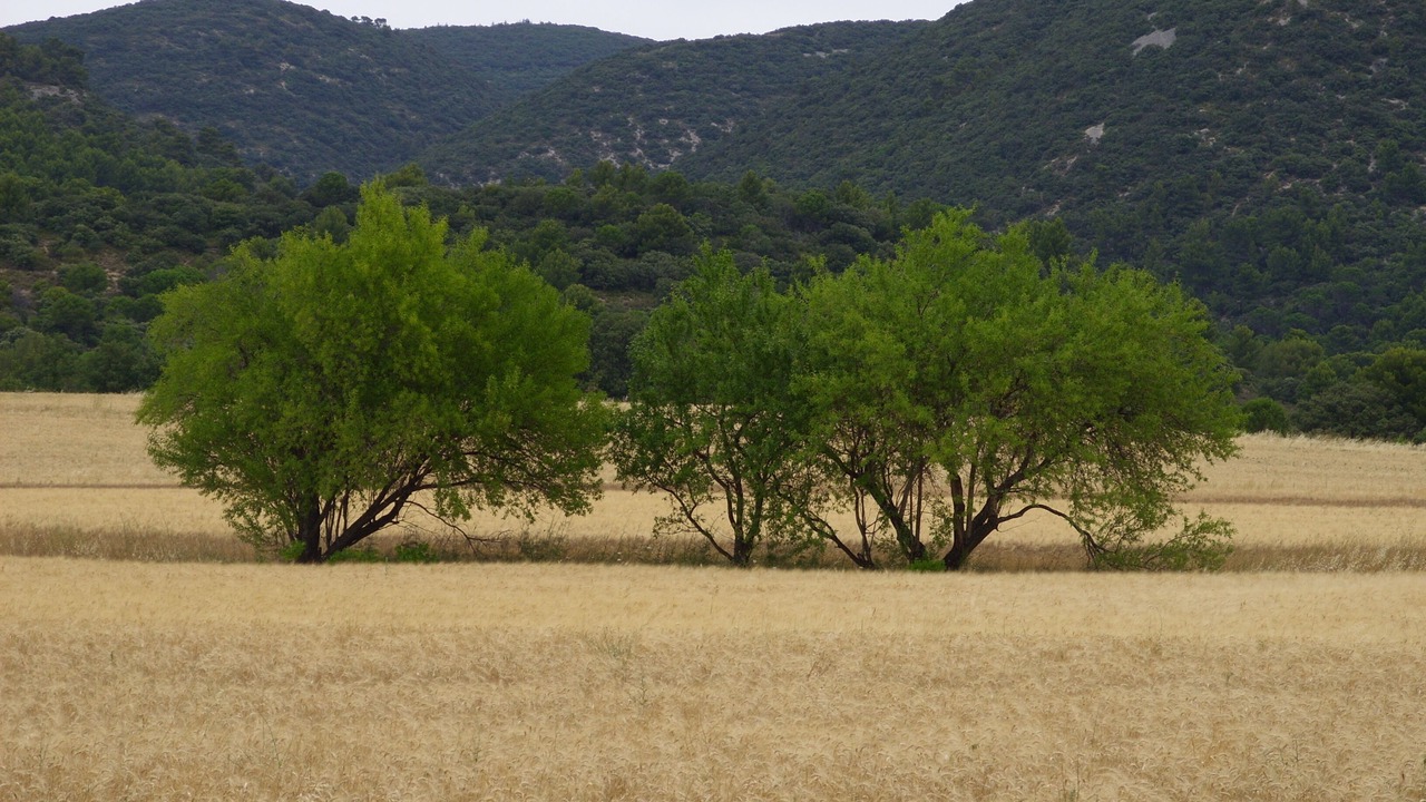 Photo of Outdoor in Puget