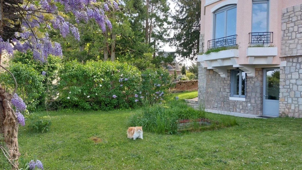 Photo of Outdoor in Rodez