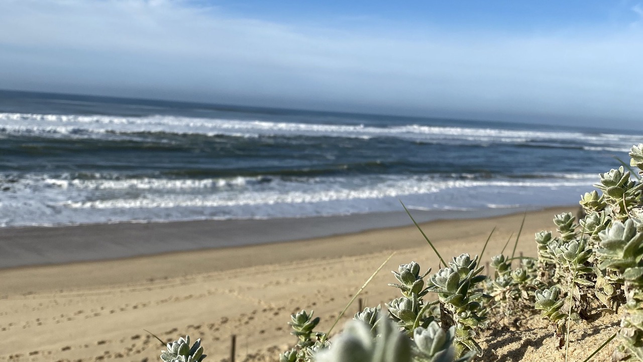 Photo of Others in Mimizan