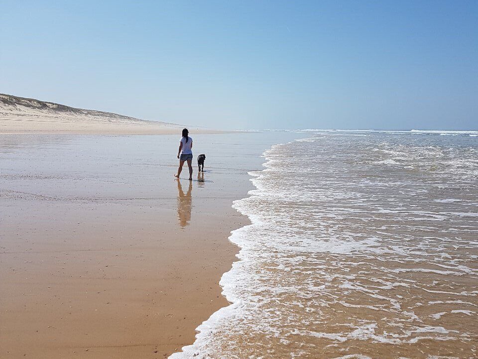 Photo of Others in Mimizan