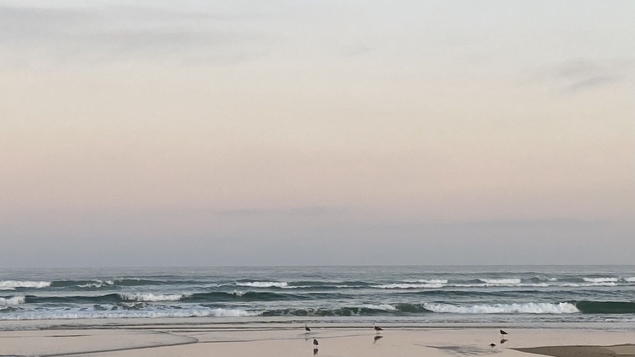 Photo of Others in Mimizan