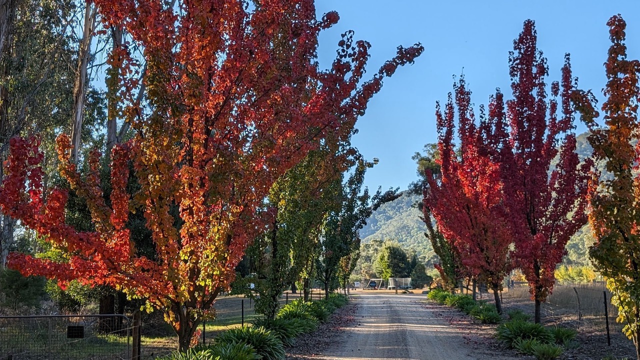 Photo of Others in Smoko