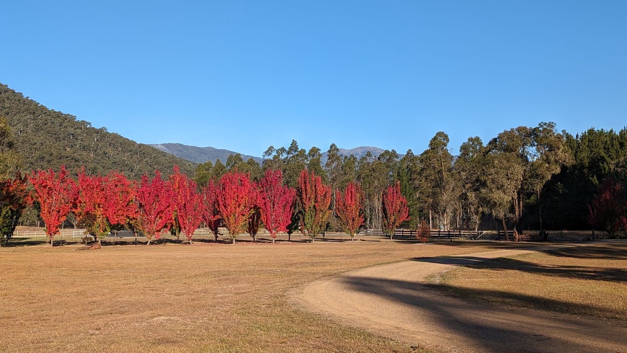 Photo of Outdoor in Smoko