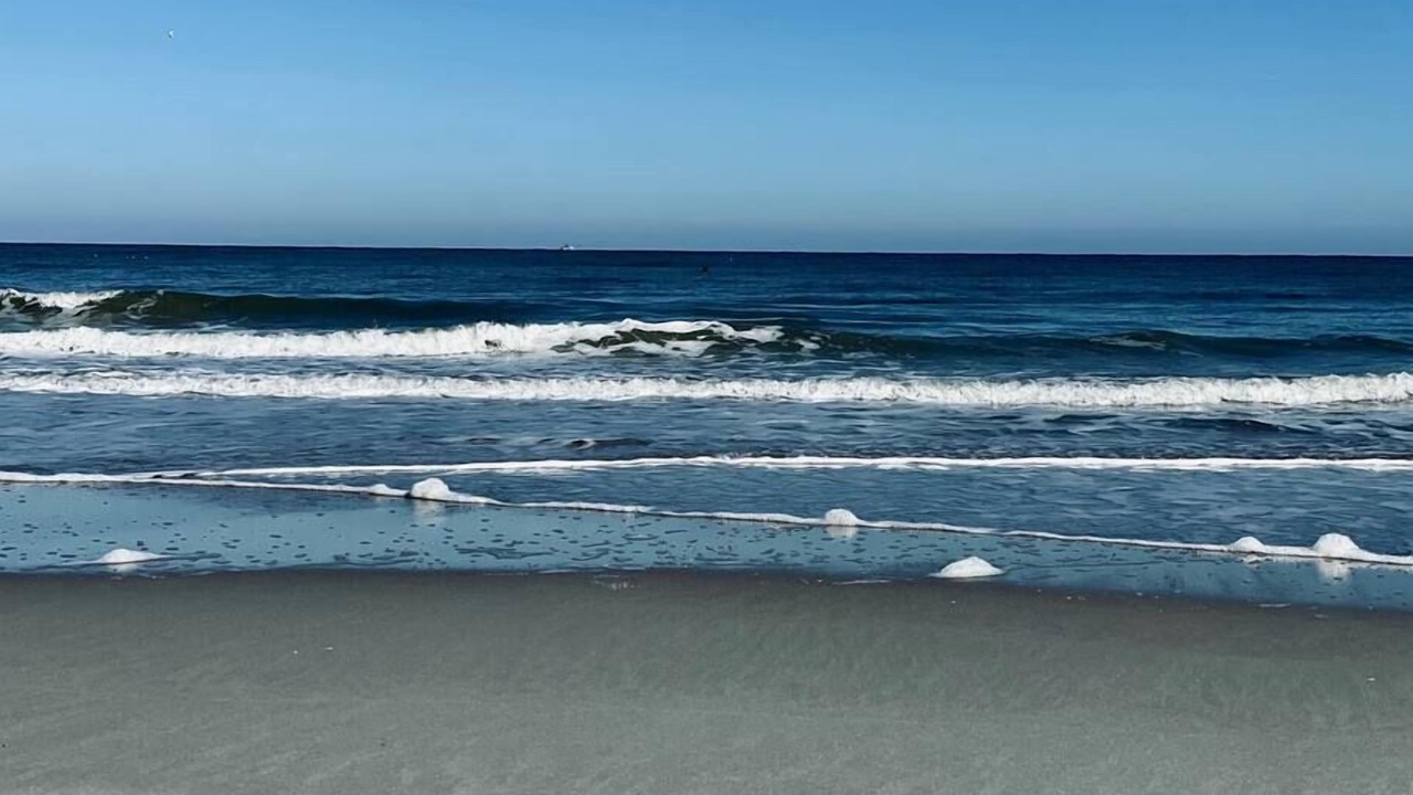 Photo of Others in Jacksonville Beach
