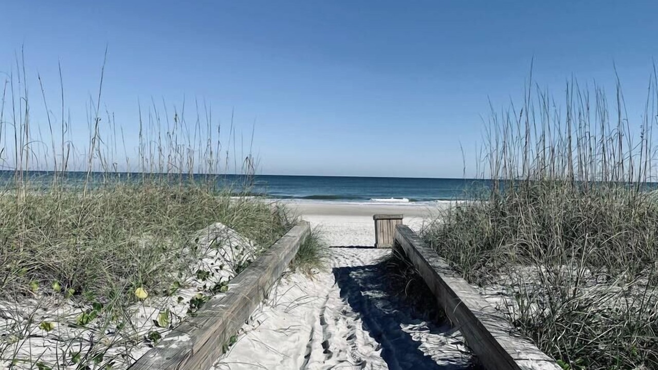 Photo of Others in Jacksonville Beach
